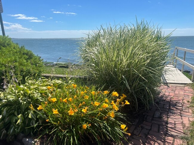 Photo - 80 Holcomb St