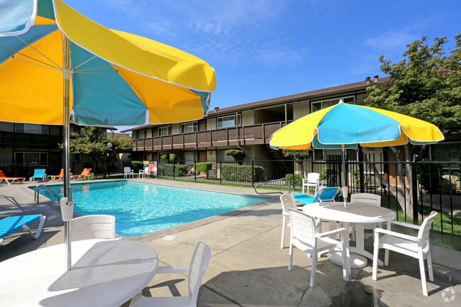 Pool - Pacific Palms