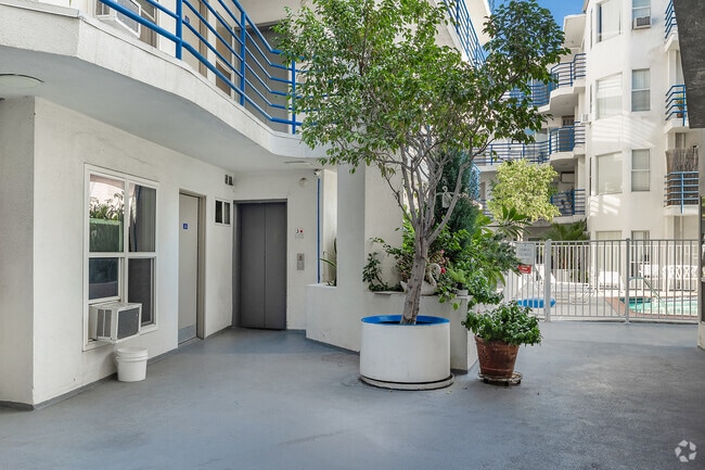 Courtyard - Sycamore Terrace