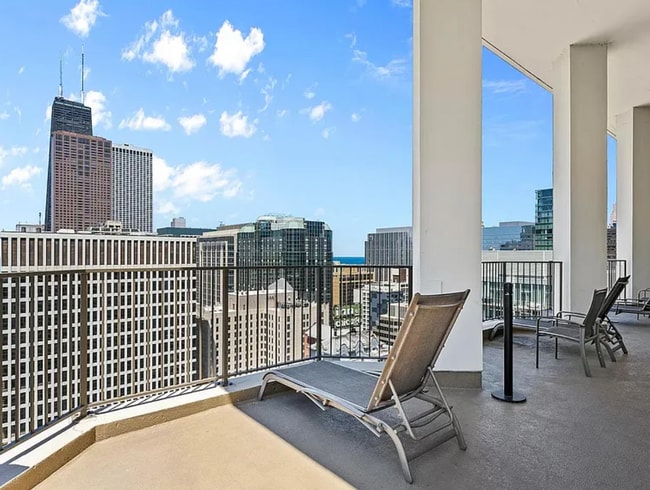 Rooftop Terrace - 535 N Michigan Ave Unit 2006