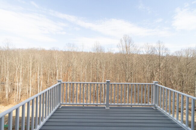 Rear Deck