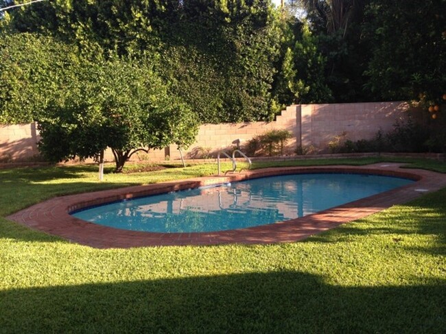 Pool, grassy yard, organic fruit trees - 5182 Woodley Ave Casa Unidad 5182 Woodley Ave