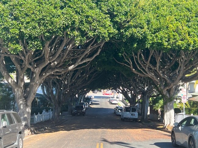 Building Photo - 721 Cedar St Unit #B