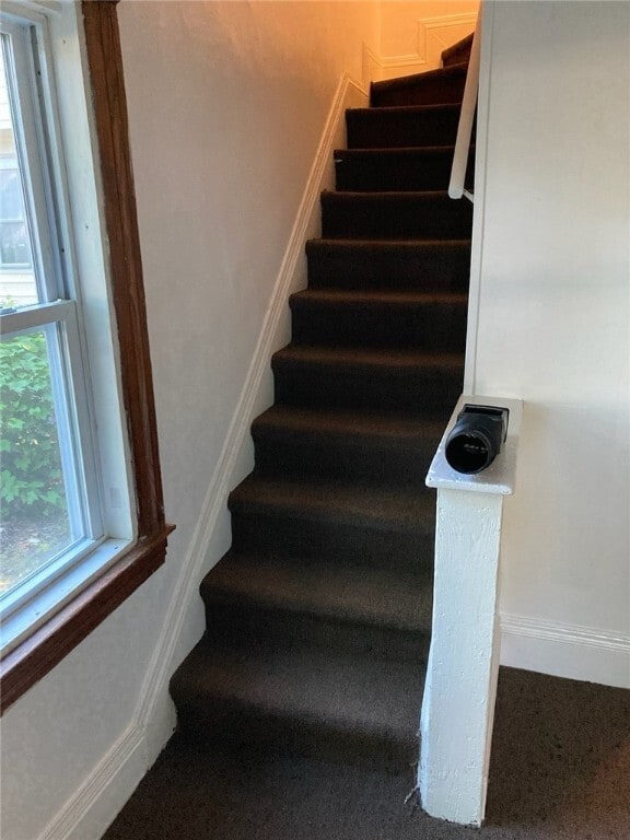 Photo - 15 Cutler St