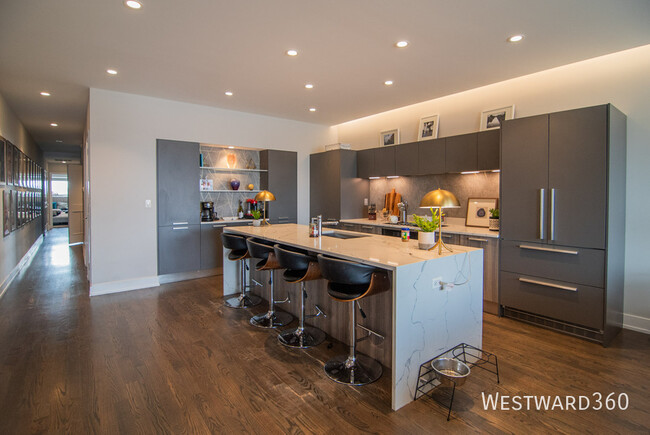 880 N Milwaukee-2N - 880 N Milwaukee-2N Apartment Unit 2N