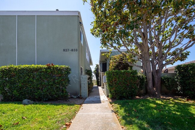 Studio 1 block from Tourmaline Beach! ALL ... - Studio 1 block from Tourmaline Beach! ALL ... Apartment Unit 831-B