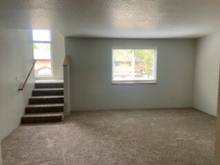 Living Room - Willow Creek