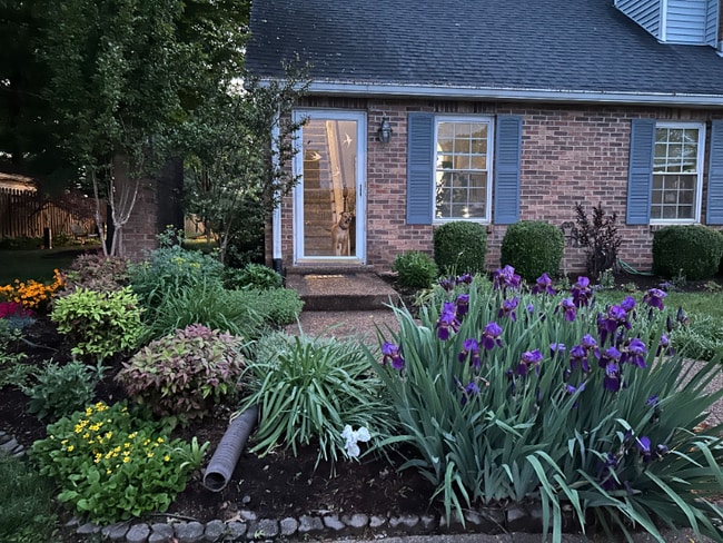 Building Photo - 149 Cumberland Trce