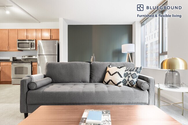 210 N Wells St Unit SI FL17-ID268