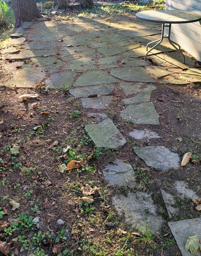 Photo - 423 Mitchell St