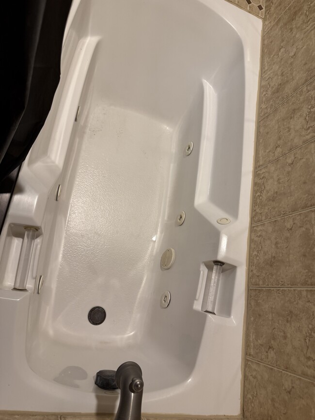 Master bath tab/jacuzzi - 1125 Stanley Ave House