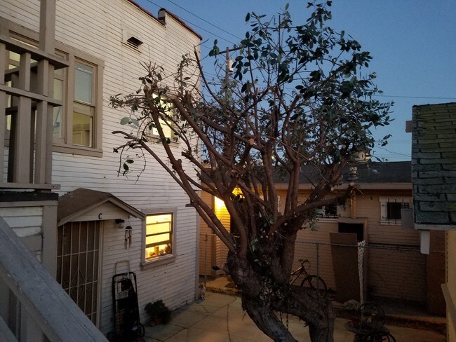 Front Area - 1400 Lemon Ave Unit B