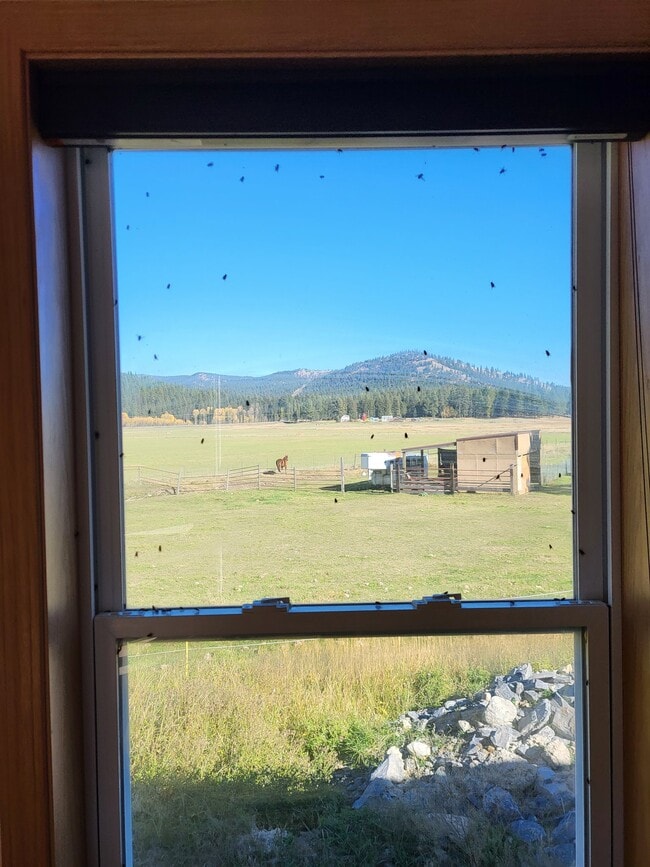 Building Photo - 31 Keenans Wy Unit 1