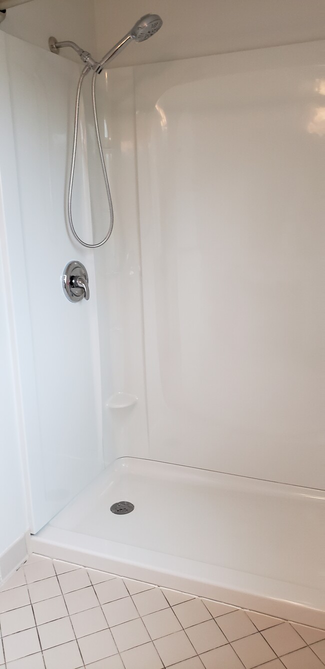 MASTER BATH SHOWER - 216 E Marshall St Townhome