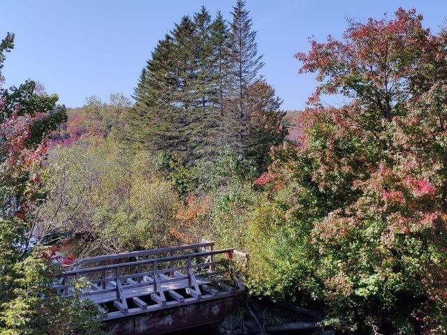 Photo - 162 Lower Main St