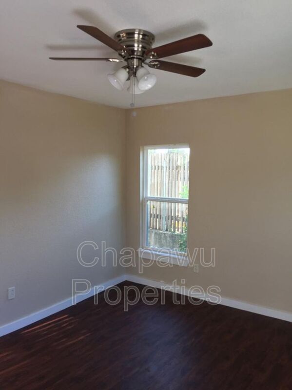 Photo - 710 Poinsettia