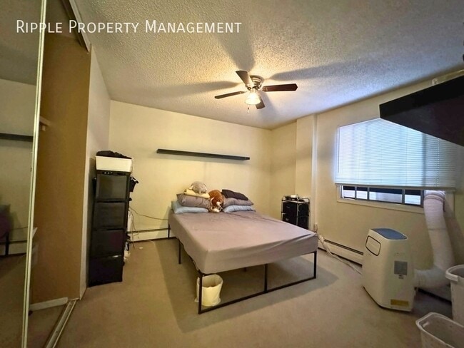 Photo - Beltline 2 Beds, 1 Baths Apartment/Condo | No Pets Allowed Unité 211