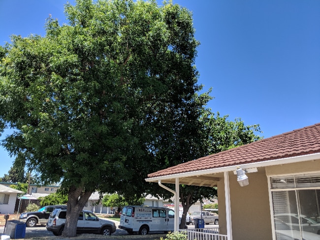 Photo - 936 Princess Anne Dr