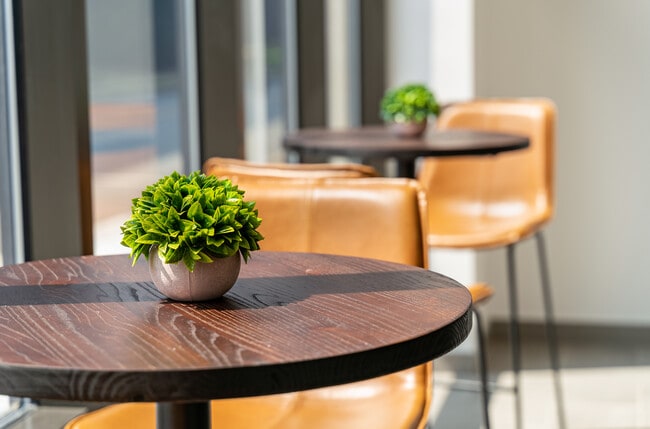 22 Sussex St - Best Location Downtown