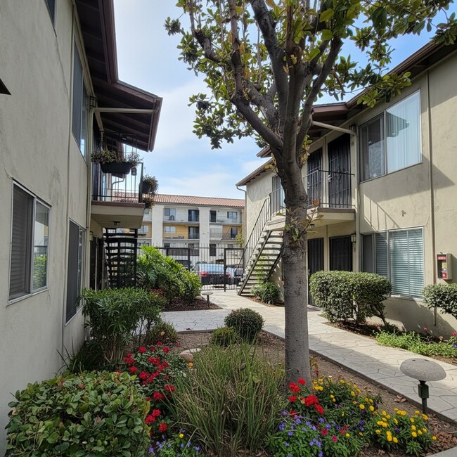 Photo - 34th Street Apartments