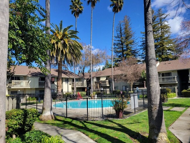 Spacious and Updated 1 Bedroom Convenientl... - Spacious and Updated 1 Bedroom Convenientl... Unidad 2 Rental