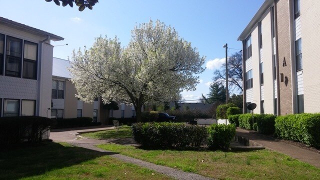 Photo - 246 White Bridge Pike Unit 246 C7