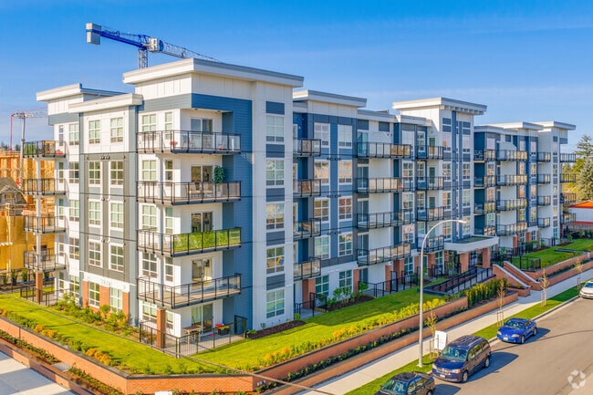 The Mackenzie - The Mackenzie