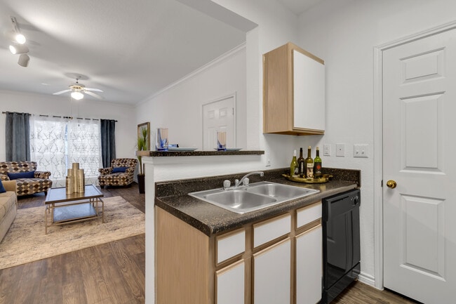 Photo - Vineyard Springs