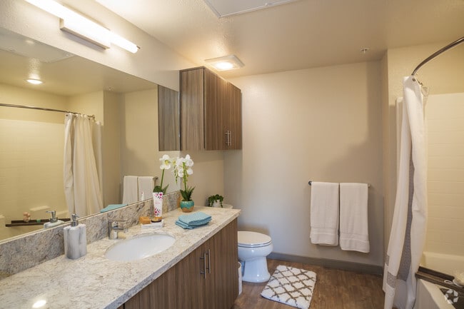 1 BR, 1 BA - 588 SF