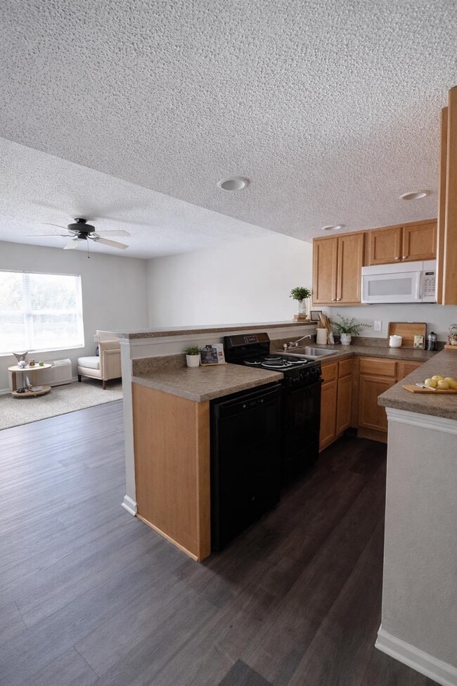 Photo - Spanish Oaks