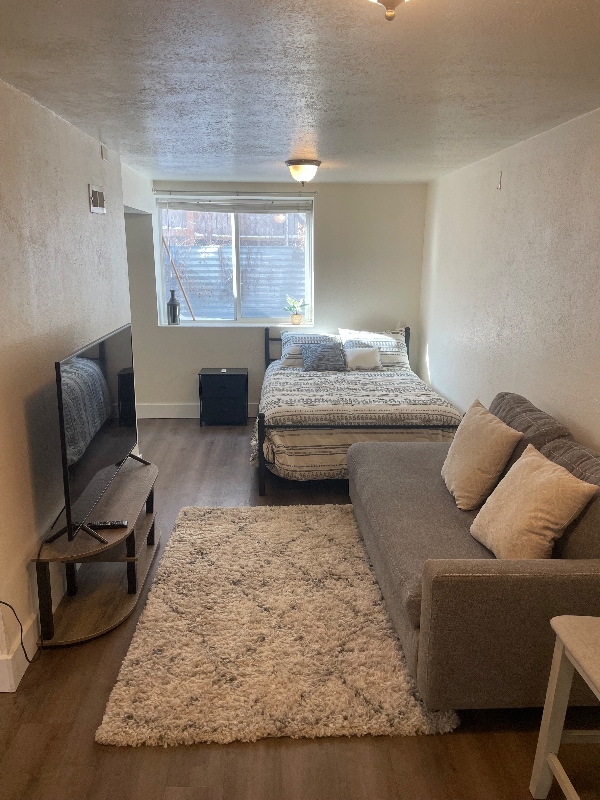 236 Custer Ave Unit 236 BSMT