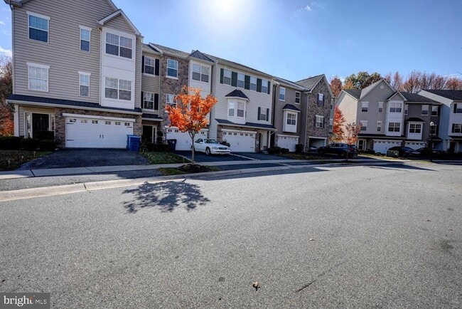 Building Photo - 536 Van Dyke Cir