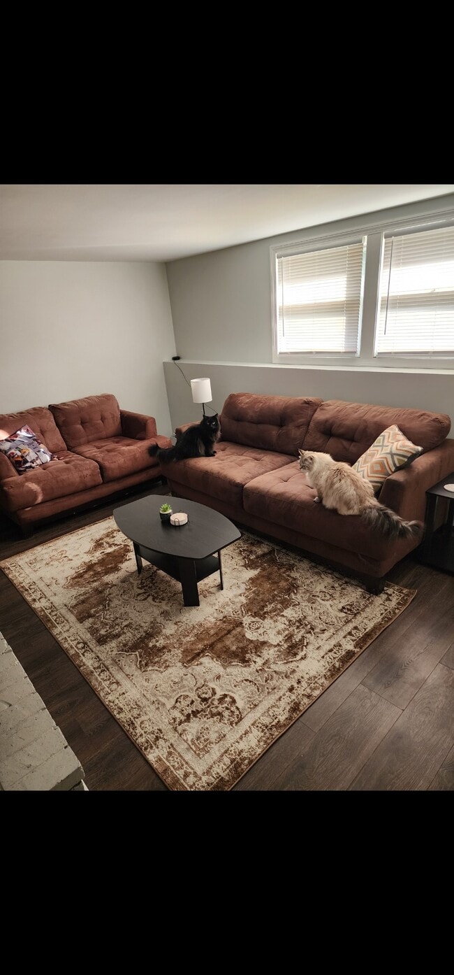 Sala de estar de la planta baja - 78 Springwood Rd