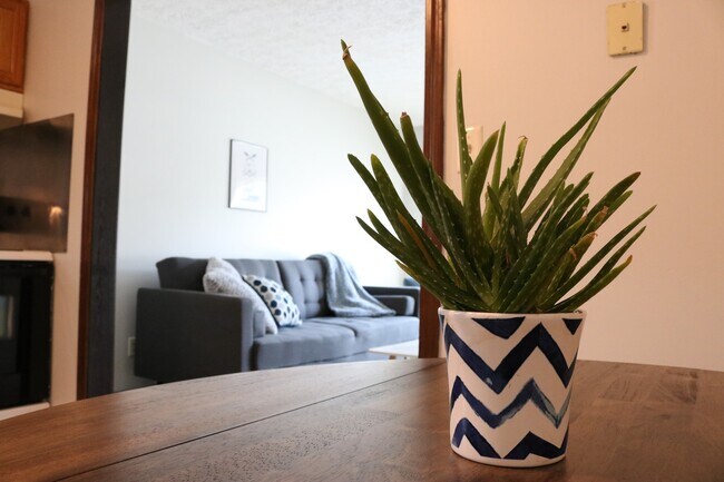 Photo - 407 Parker St