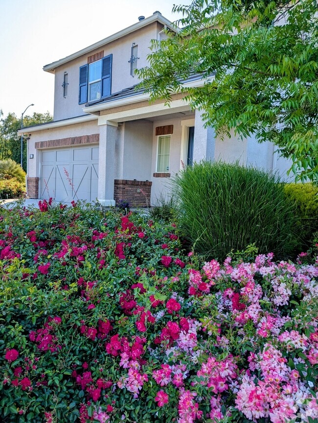 Building Photo - 655 San Marino Ct Rental