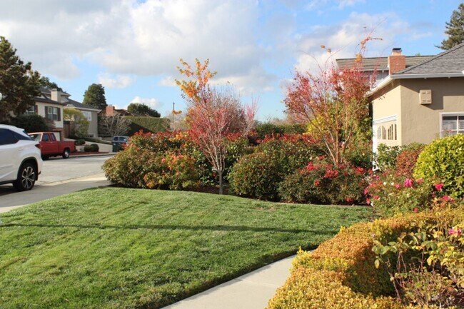 Photo - Charming Baywood Knolls Home  in San Mateo