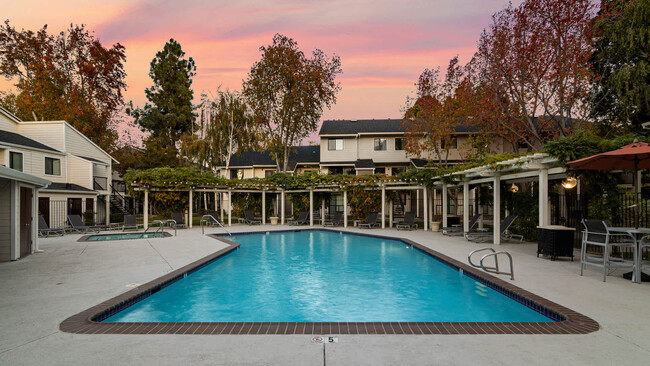 Swimming Pool - Briarwood Apartments