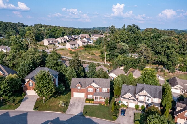 Building Photo - 10722 Modesto Ln