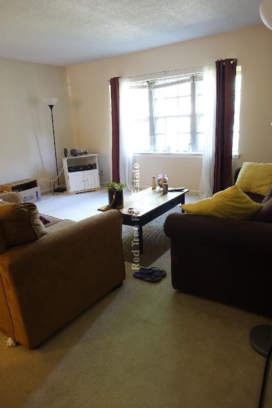 Photo - 166 Lake Shore Rd