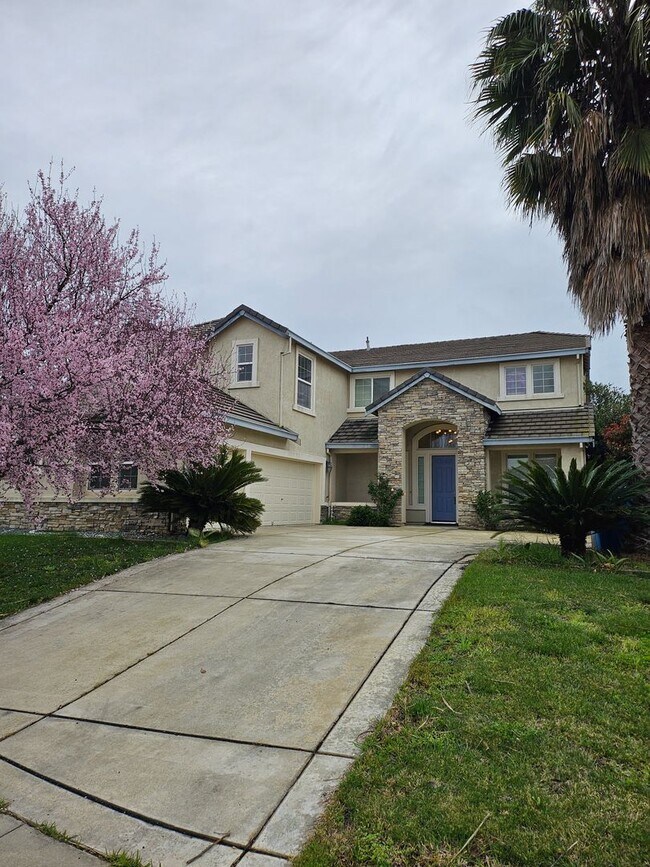 Photo - 1178 Jewelflower St