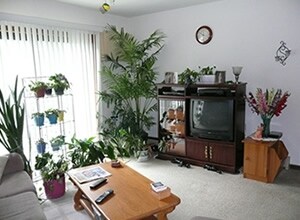Living Room-2 bed room model
