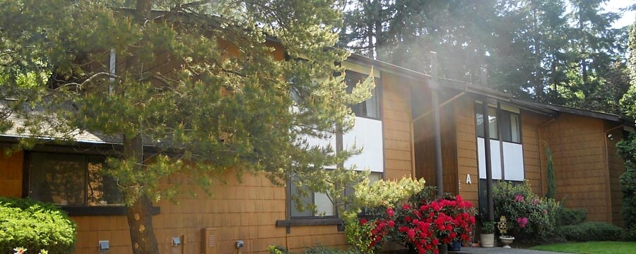 Canterbury Court Apartments - Canterbury Court Apartments