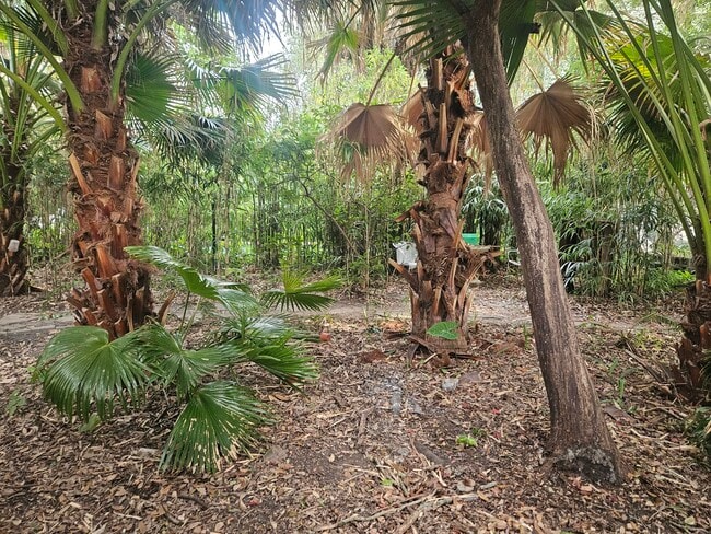 Private lawn area - 2326 Esplanade Ave Unit 2326 Esplanade-Cottage