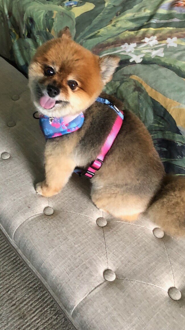 Photo - 33074 Ocean Rdg