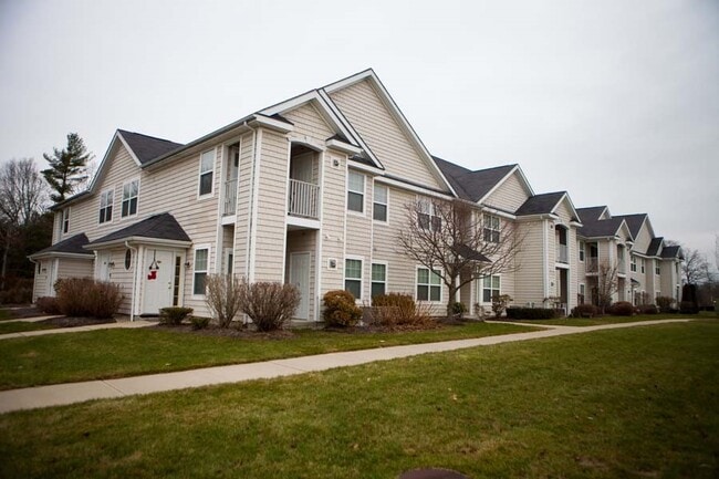 Photo - Dartmouth Woods