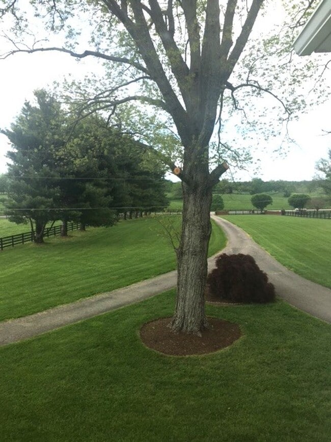Photo - Kentucky mansion overlooking horse farm with stunning views 260323