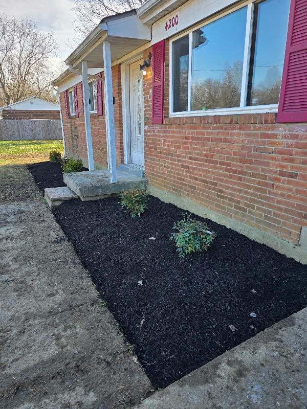 Photo - 4200 Narcissus Dr