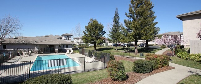 Building Photo - The Oaks Apartments