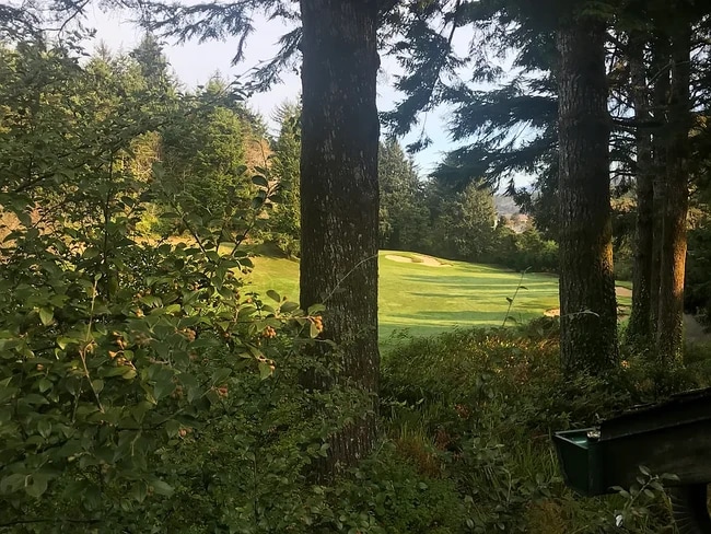 House in the Trees