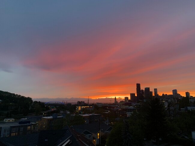 Photo - 829 19th Ave S